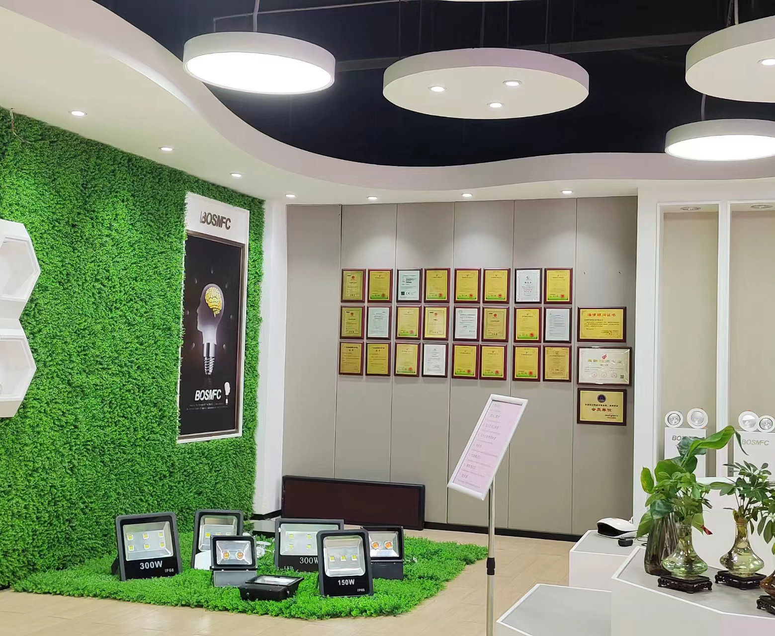China Dongguan Lanjin Optoelectronics Co., Ltd. Bedrijfsprofiel