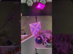 2835 SMD LED PCB vol spectrum COB Voor planten LED Grow Light