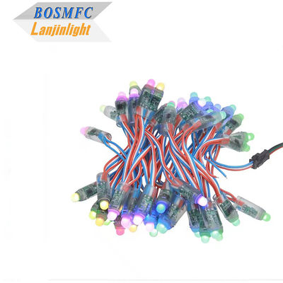 WS2811 Diffuus Digitaal RGB LED String Lights Pixel Light 12mm Ronde Individueel aanspreekbaar