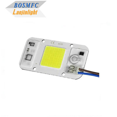 Warm White Plants COB Power LED 20W 50W High Lumen voor groeilicht