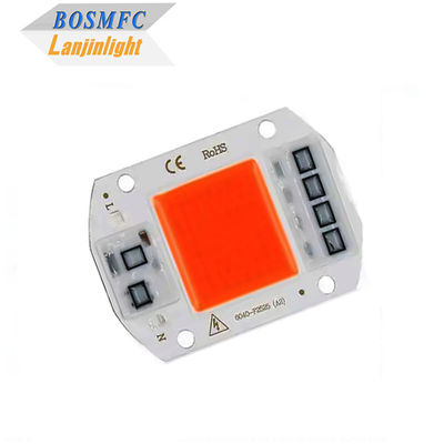 Praktische Full Spectrum COB LED Chip 50W 100W Voor Indoor Plant Grow Lamp