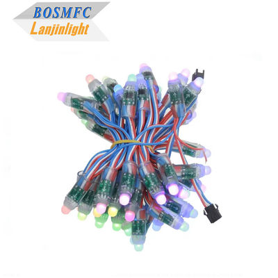 Fabriek Full Color Programmable DC5V WS2811 RGB Pixel Light String Waterdicht IP68 9mm 12mm Led String