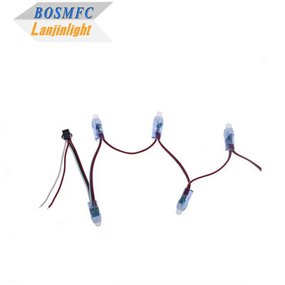 RGB Full Color Pixel Waterdicht WS2811 Pixels Digitaal Adreserbaar LED Globe String Lights 12mm DC 5V