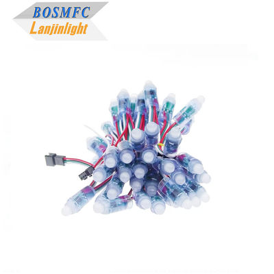 RGB Full Color Pixel Waterdicht WS2811 Pixels Digitaal Adreserbaar LED Globe String Lights 12mm DC 5V